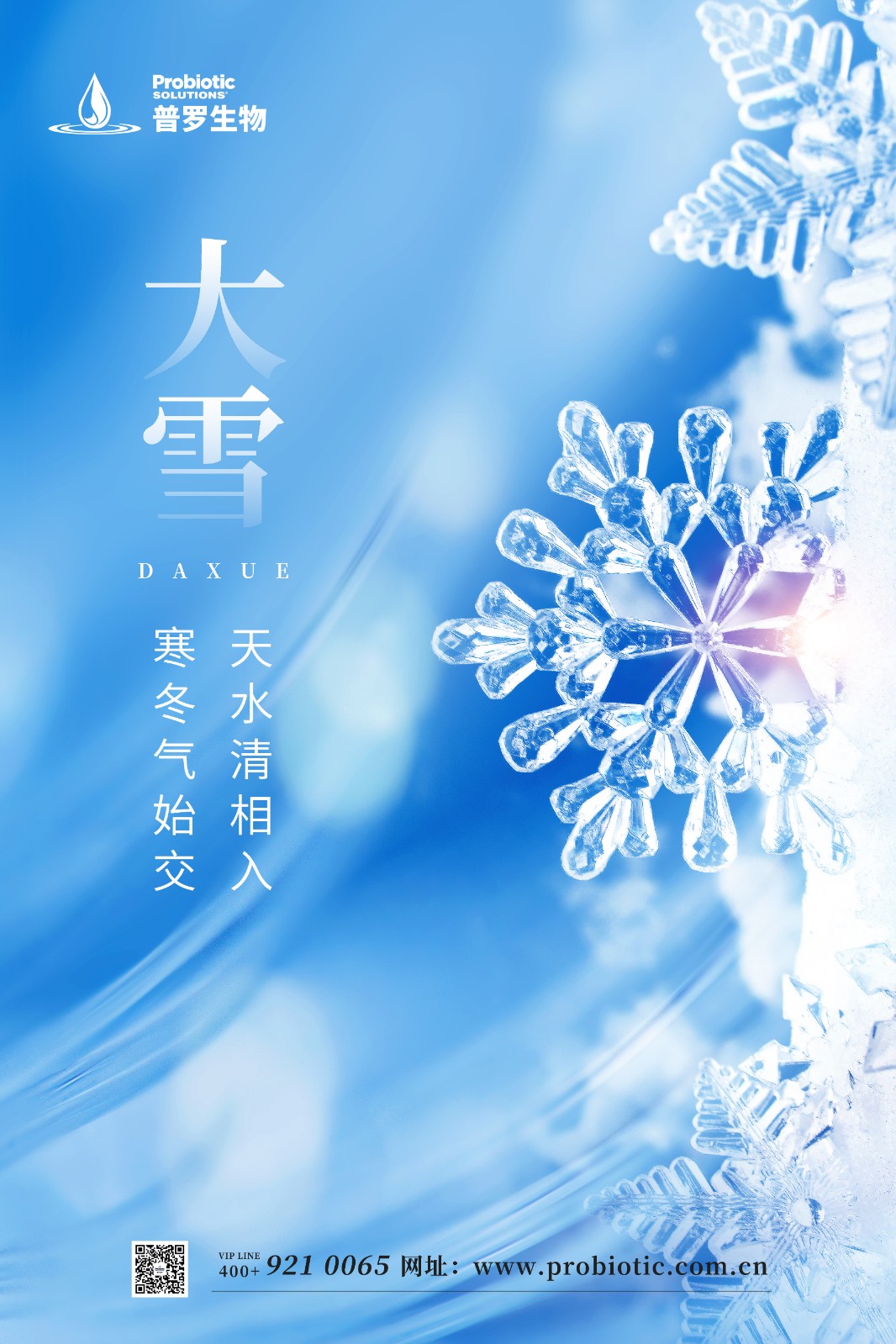 普罗生物|大雪