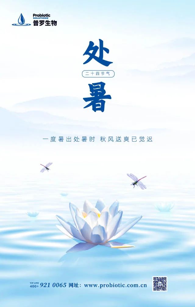 处暑.jpg