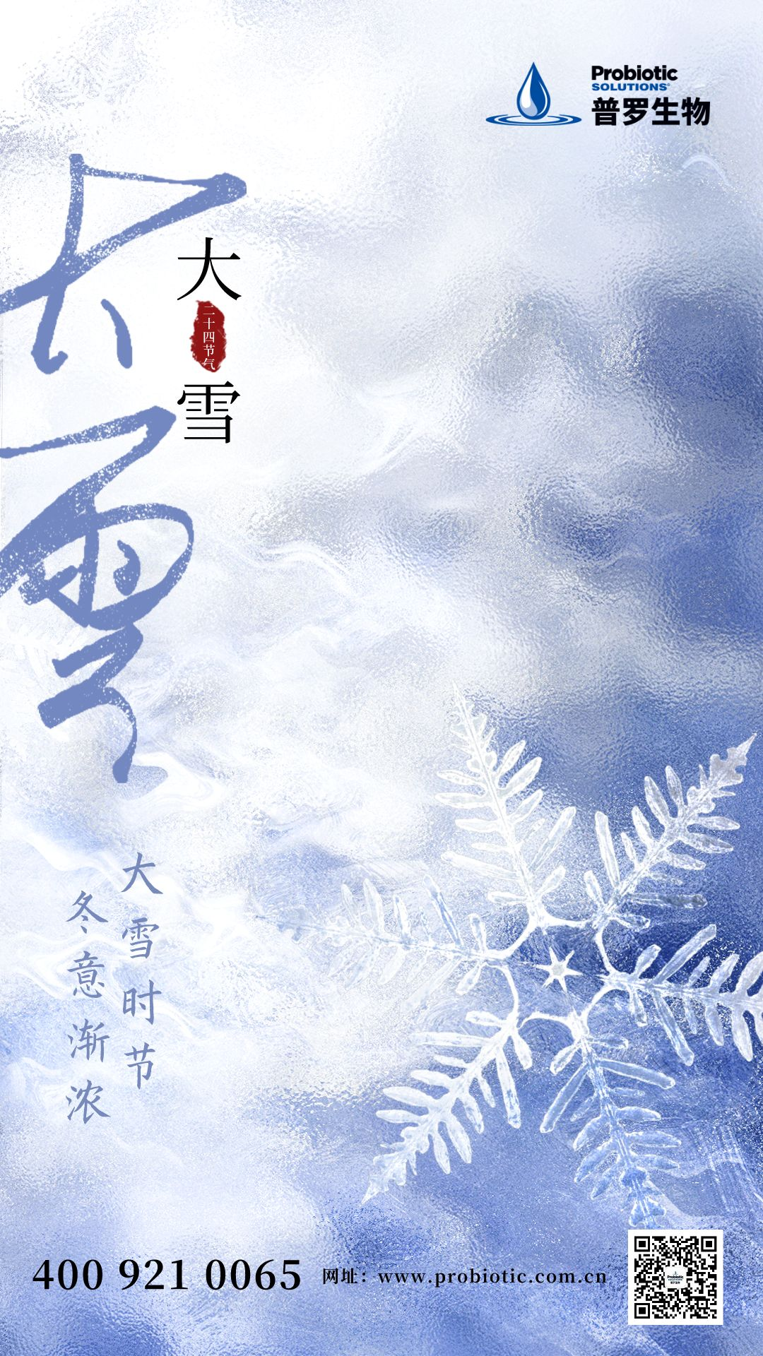 大雪.png