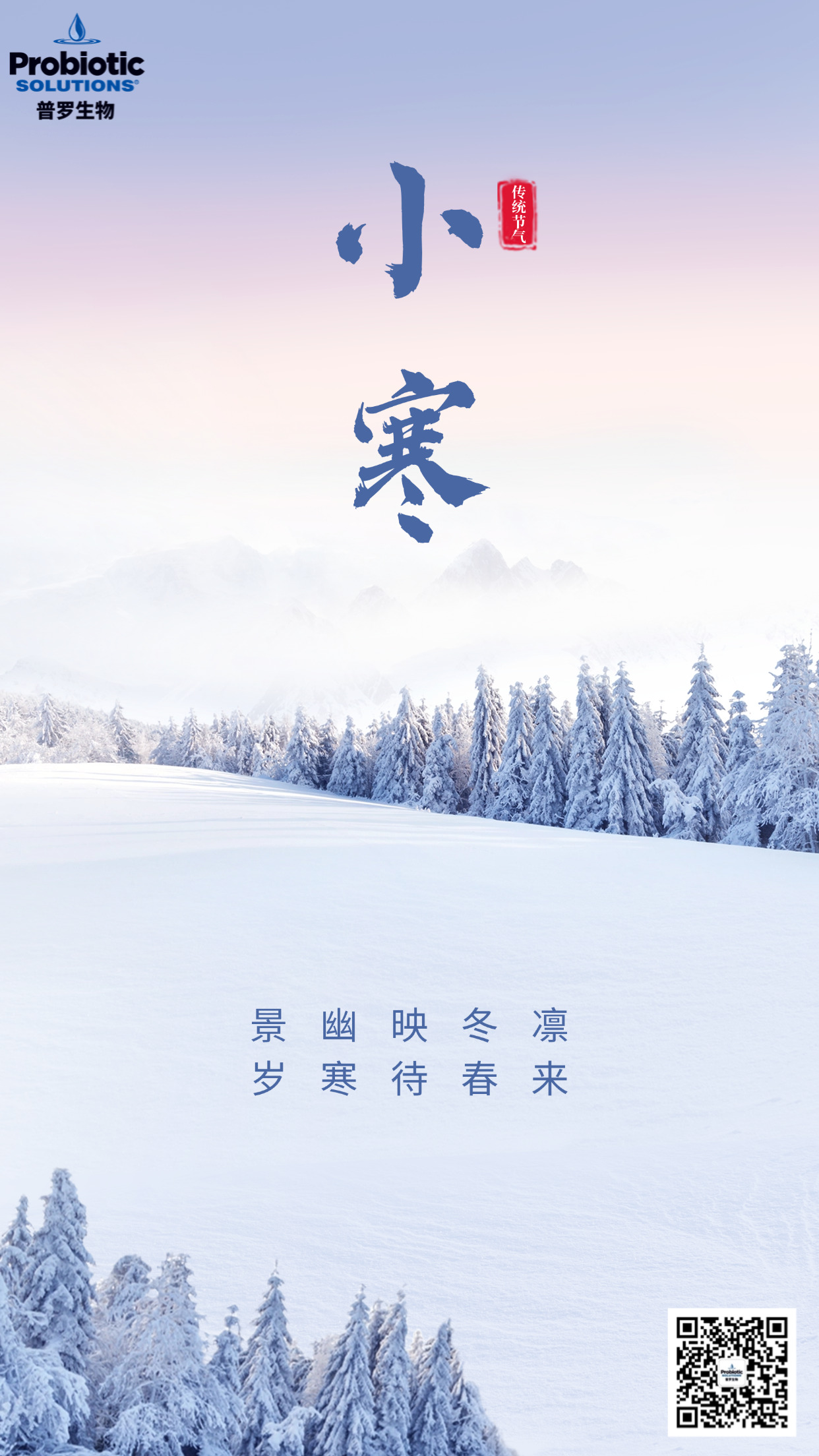 小寒.jpg